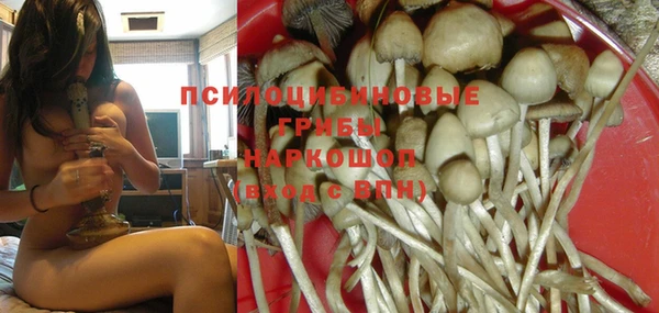 ПСИЛОЦИБИНОВЫЕ ГРИБЫ Сафоново