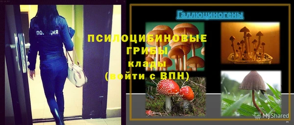 ПСИЛОЦИБИНОВЫЕ ГРИБЫ Сафоново