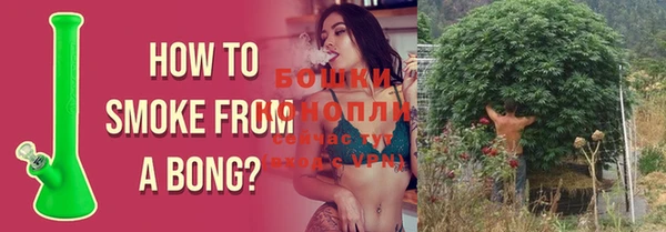 ПСИЛОЦИБИНОВЫЕ ГРИБЫ Сафоново