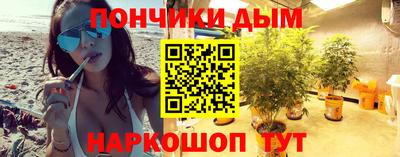 стафф Гатчина