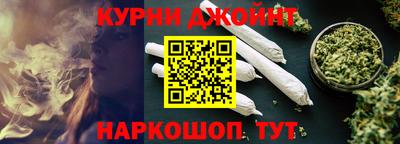 стафф Гатчина