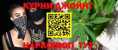 стафф Гатчина