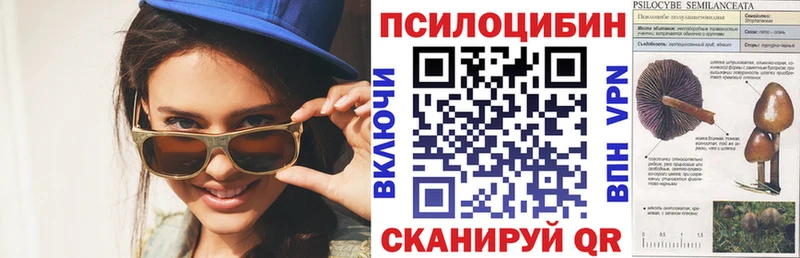 ссылка на мегу онион  Абинск  Псилоцибиновые грибы Cubensis  цены наркотик 