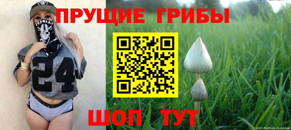 Абинск  Псилоцибиновые грибы мухоморы  Вход с VPN  Галлюциногенные грибы Psilocybe 